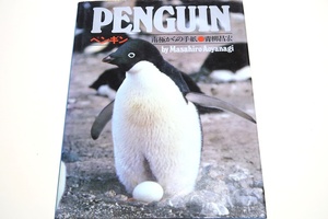 ペンギン・南極からの手紙/青柳昌宏/ケープバードでアデリーペンギン研究に従事・生活の様子・自然の移りゆき・心の動きなどを書きとどめる