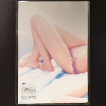 山本梓 ラミネート加工 雑誌切抜 6ページ A4 NOWON 2003年 平成15年6月25日発行 Vol.28 グラビア ランジェリー_画像6