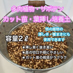 多肉植物の土 サボテンの土 多肉植物用土