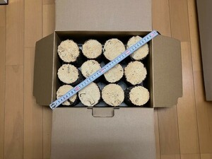 【川口商会】能勢産 厳選 クヌギ・コナラ飼育産卵木A品 NO3 《12本入》