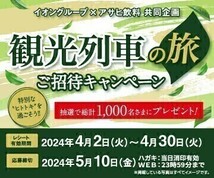 個数4 懸賞4種 応募レシート1枚 イオン アサヒ キャンペーン, 颯 豪華限定グッズCP, MV東海 大感謝祭(合算用), イオン冷凍食品CP(合算用)_画像2