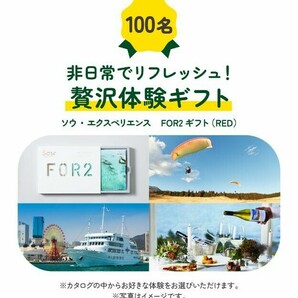 懸賞応募 アサヒ十六茶 十六素材のキャラクターを集めながら豪華景品を当てよう 16PLANT HUNT キャンペーン シール15枚 デジタルポイント等の画像5