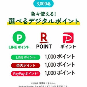 懸賞応募 アサヒ十六茶 十六素材のキャラクターを集めながら豪華景品を当てよう 16PLANT HUNT キャンペーン シール14枚 デジタルポイント等の画像2