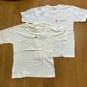 Tシャツ ホワイト 白 半袖 Mサイズ　西川　SOMNUS