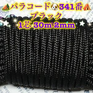 ☆★パラコード★☆１芯 ３０m ２mm☆★３４１番★手芸とアウトドアなど用★