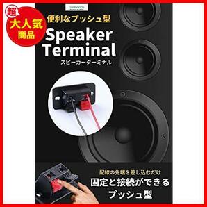 【最安！数量限定！】 スピーカー端子 スピーカーターミナル プッシュ式 【２ポジション/１０個入り】 プッシュ型 ターミナル スピーカーの画像2