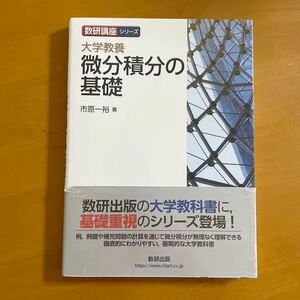 美品　大学教養微分積分の基礎 （数研講座シリーズ） 市原一裕／著