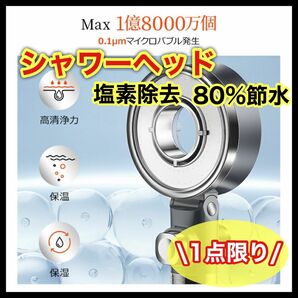 シャワーヘッド 節水 塩素除去 水圧 強い シャワー 美肌 美髪 保湿 保温 うるおう 節約 リラックス マッサージ 血行