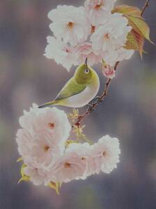 山地司「八重桜とメジロ」　 希少画集・額装画、日本製新品額縁、状態良好、送料無料