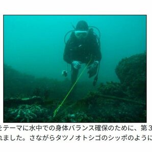 BBC ステンレスカラビナ付き カレントフック シーテール ランク:AA ドリフトダイビング [KA49817]の画像2