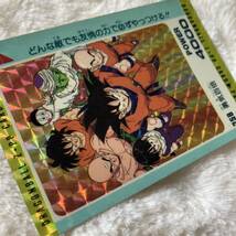 ドラゴンボール カードダス アマダPPカード パート7弾 No.258 キラカード 孫悟空 初期 1990年代 Dragonball carddass Prism Rare_画像4