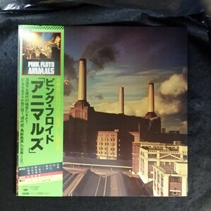 D04 中古LP 中古レコード ピンクフロイド アニマルズ 帯付国内盤 25AP 340 PINK FLOYD animals 解説 篠山紀信 横尾忠則 渋谷陽一 の画像1