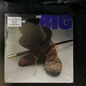 D04 中古LP 中古レコード MR.BIG s/t US盤 7 81990-1 シュリンク、ハイプシール有 BILLY SHEEHAN PT TORPEY PAUL GILBERT ERIC MARTINの画像1