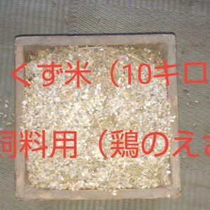 くず米（10キロ）徳島県産令和5年産