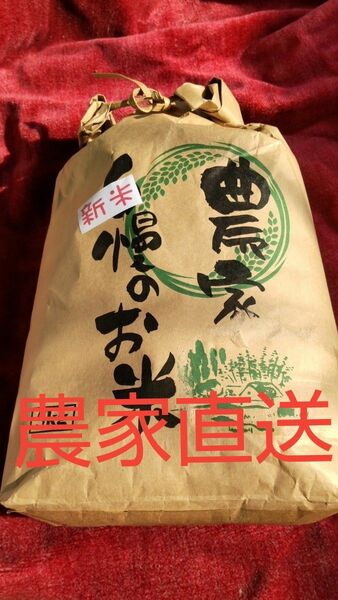 ヒノヒカリ玄米10キロ徳島県産令和5年産