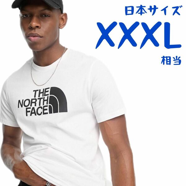 【海外限定】ノースフェイス　半袖Tシャツ　日本4L相当　A182