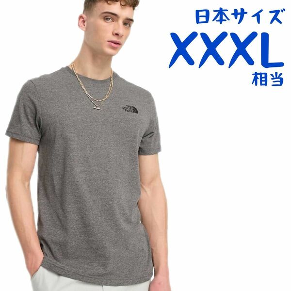 【海外限定】ノースフェイス　半袖Tシャツ　日本4L相当　A174 THE NORTH FACE 半袖