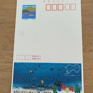 額面50円はがき エコーはがき 未使用はがき 広告はがき 大月エコロジーキャンプ場 の画像1