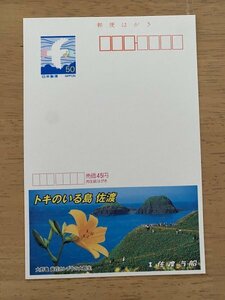 額面50円はがき　エコーはがき　未使用はがき　広告はがき　佐渡汽船　トキのいる島　佐渡