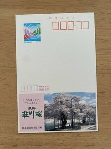 額面50円はがき　エコーはがき　未使用はがき　広告はがき　飛騨　荘川桜　岐阜県荘川村