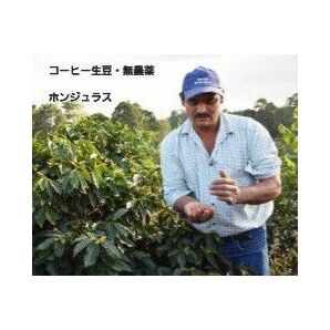 【無農薬・有機農法】コーヒー生豆１ｋｇ【視察後・本人から直接仕入れ】