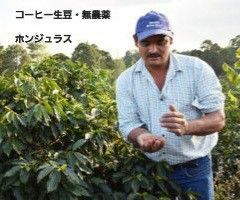 【無農薬・有機農法】コーヒー生豆１ｋｇ【視察後・本人から直接仕入れ】