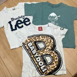 Tシャツ 3枚セット Lee BABYDOLL