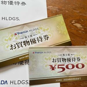 匿名ヤマダデンキ　ヤマダ電機 YAMADA ヤマダホールディングス　株主様お買い物優待券3000円分　迅速配送