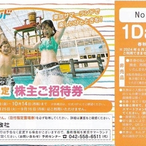 東京サマーランド 春秋限定株主ご招待券 2枚セット★1Dayパス フリーパス 東京都競馬 株主優待券 入園無料券の画像1