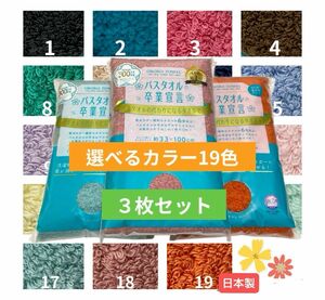 選べるカラー3枚セット☆バスタオル卒業宣言おぼろタオル/ミニバスタオル　日本製 