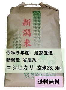 【送料無料】新潟産コシヒカリ 玄米23.5kg　省農薬　有機50%肥料栽培　令和5年産　色彩選別機使用　農家直送