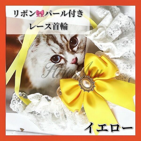 【大人気】ペット用首輪 猫 犬 小動物用 レース リボン 真珠 おしゃれ 可愛い 韓国イエロー