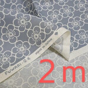 【２m】FUWARI染布.*日本製 綿100%オックス生地…グレー色に白色の花模様/カメリア風