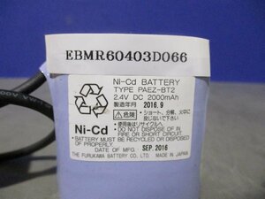 新古 NI-CD BATTERY PAEZ-BT2 (EBMR60403D066)