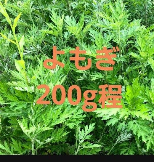 よもぎ　200g　A4封筒発送　無農薬　ヨモギ