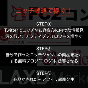 【マジで月収100万円稼ぐための副業戦略】ニッチジャンルを狙ったアダル●ビジネスX(Twitter)×ブログを使った入金システムの作り方の画像2