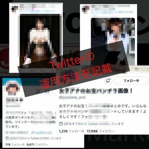 【マジで月収100万円稼ぐための副業戦略】ニッチジャンルを狙ったアダル●ビジネスX(Twitter)×ブログを使った入金システムの作り方の画像7