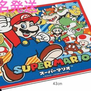 スケーター　ランチクロス　　スーパーマリオ　新品