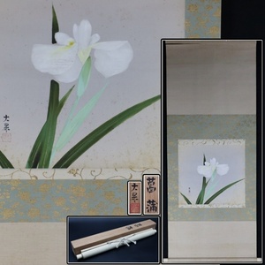 Art hand Auction 【宙】真作保証 木本大果｢菖蒲｣絹本 掛軸 落款有 共箱 帝国美術院展覧会特選 白寿賞 政府買上三回 師:松本楓湖 C1JI17.h.C, 絵画, 日本画, 花鳥, 鳥獣