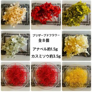 プリザーブドフラワー　花材セット　まとめ売り　紫陽花　かすみ草　大地農園