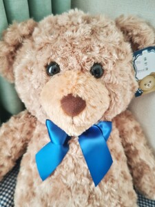 ★ Daiso Tidi Bear Большой 100 иен Тюлень Медведь Подарок ★ Плюшевый