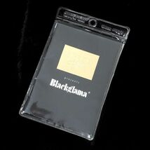 4-YDF027【美品】ブラックグラマ BLACK GLAMA ダークミンク MINK ミンクファー 最高級毛皮 ロングコート 毛質 艶やか 柔らか F レディース_画像9