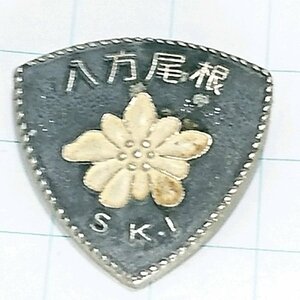 送料無料)八方尾根スキー 山登り 旅行 記念 山バッジ ピンバッジ PINS ピンズ A23998