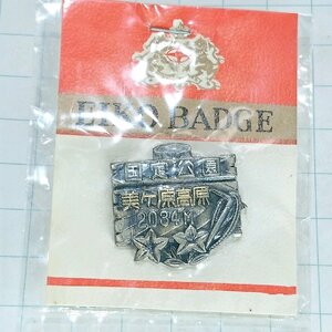 送料無料)未使用 美ヶ原高原 山登り 旅行 記念 山バッジ ピンバッジ PINS ピンズ A24244