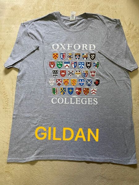 GILDANボディ オックスフォードカレッジTシャツ
