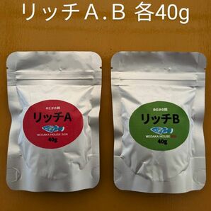 リッチA.Ｂ 各40g 　メダカ、金魚、グッピーの餌