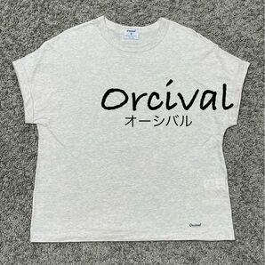 定価6600円　オーシバル　ジャージーフレンチスリーブTシャツ　サイズ1