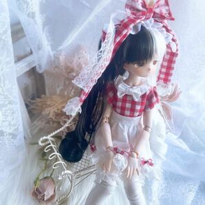 【しらゆきここ】DDH-27 SW肌 カスタムヘッド＋碁石アイ＋着用お洋服 MDDの画像9