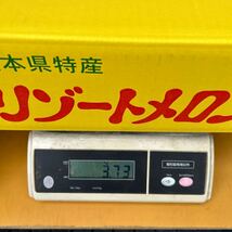 送料込み 熊本産 リゾートメロン 秀品 M 8玉 4/12発送予定 家庭用 箱込3.7k_画像3