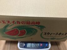 送料込み 熊本産 小玉すいか 秀品 M 6玉 4/30発送予定 ひとりじめ 箱込み約8.5キロ_画像7